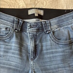 Wit and Wisdom Blue Denim Jeans